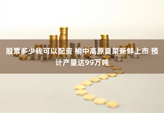 股票多少钱可以配资 榆中高原夏菜新鲜上市 预计产量达99万吨