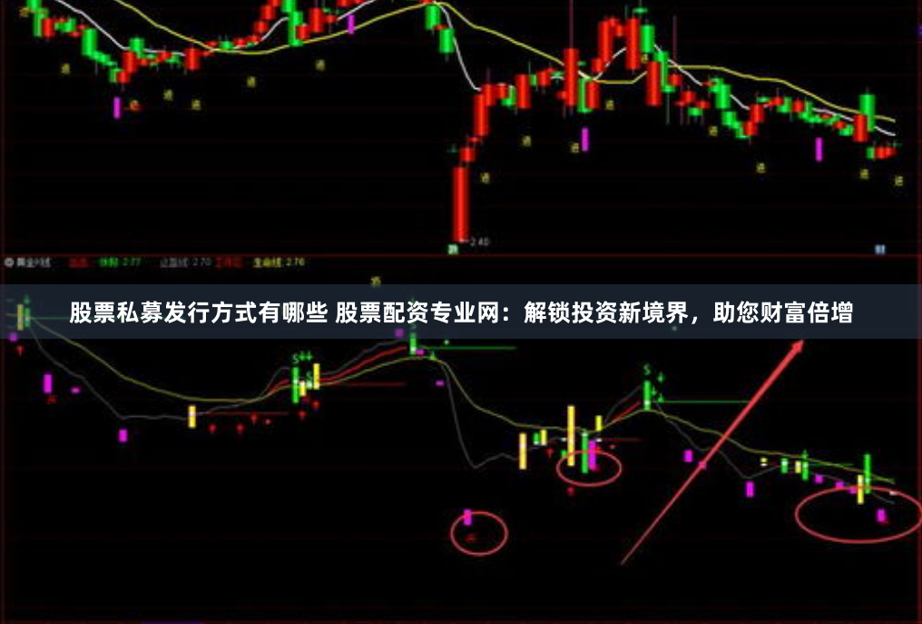 股票私募发行方式有哪些 股票配资专业网：解锁投资新境界，助您财富倍增
